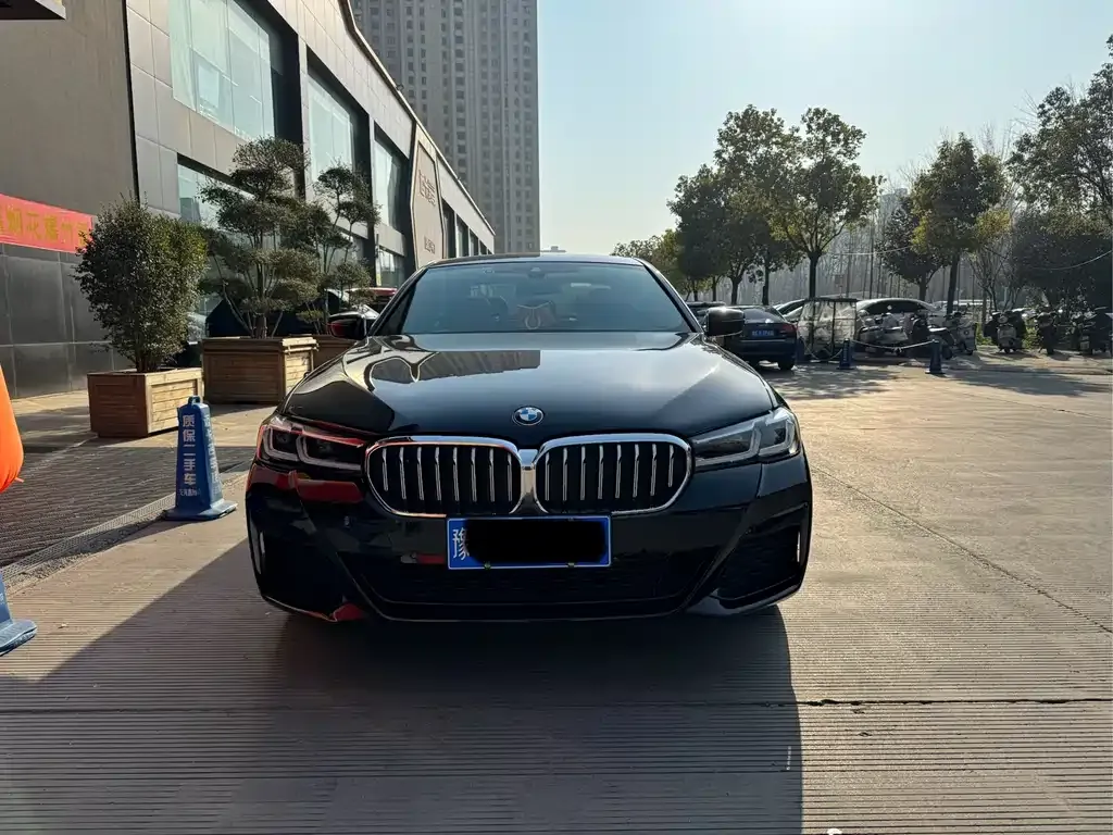 BMW 5 Series 2022 из CN, фото 2