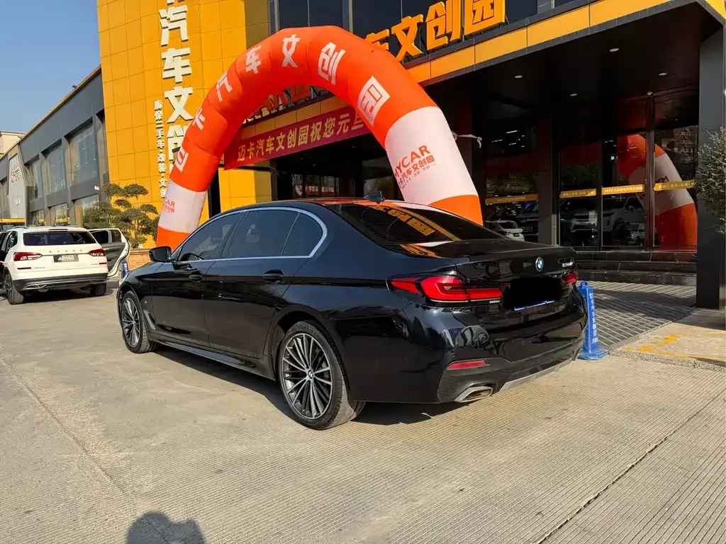 BMW 5 Series 2022 из CN, фото 8