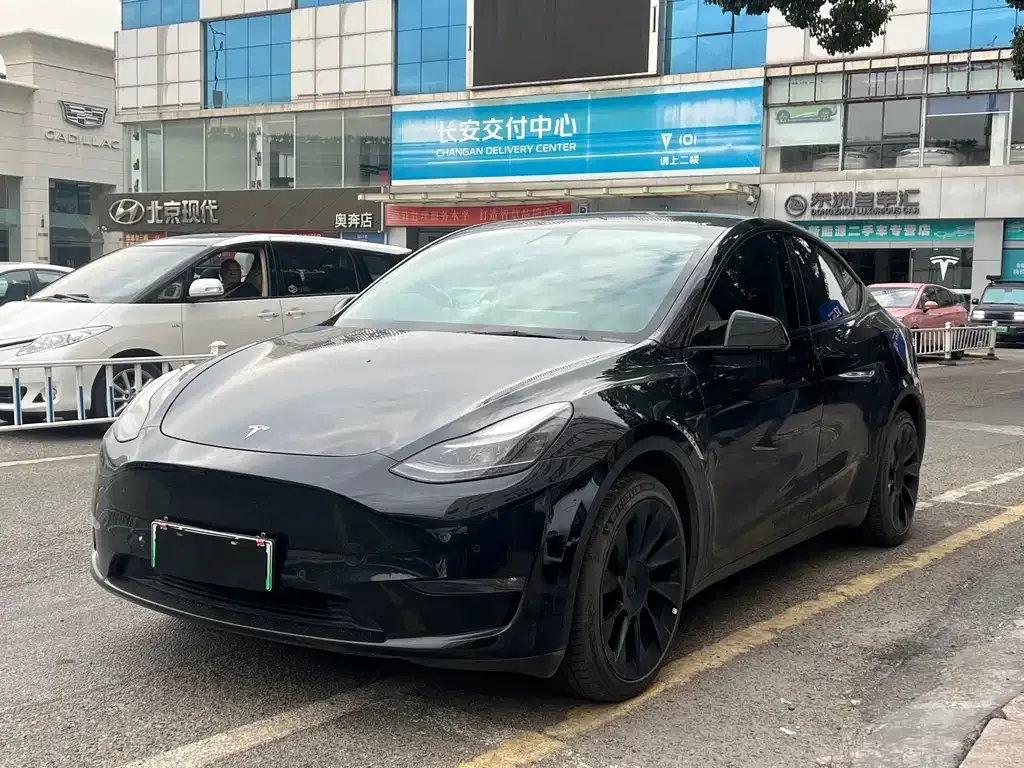 Tesla Model Y 2021 из CN, фото 1