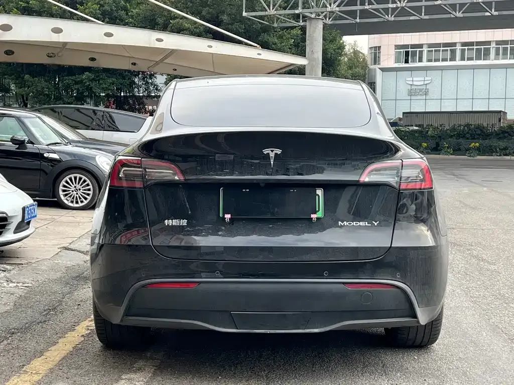 Tesla Model Y 2021 из CN, фото 7