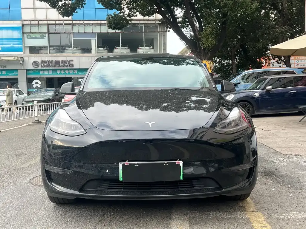 Tesla Model Y 2021 из CN, фото 9