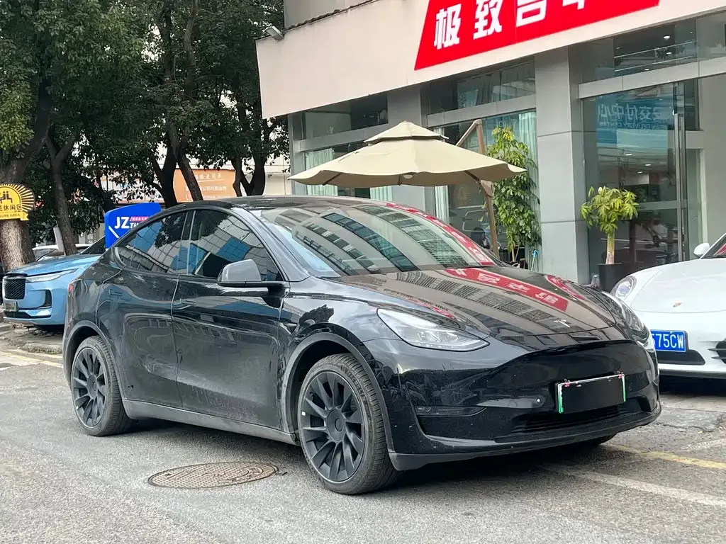 Tesla Model Y 2021 из CN, фото 10
