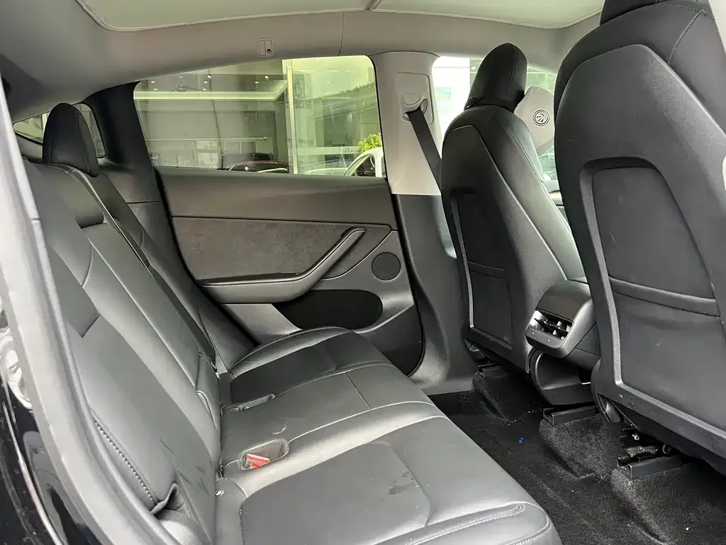 Tesla Model Y 2021 из CN, фото 3