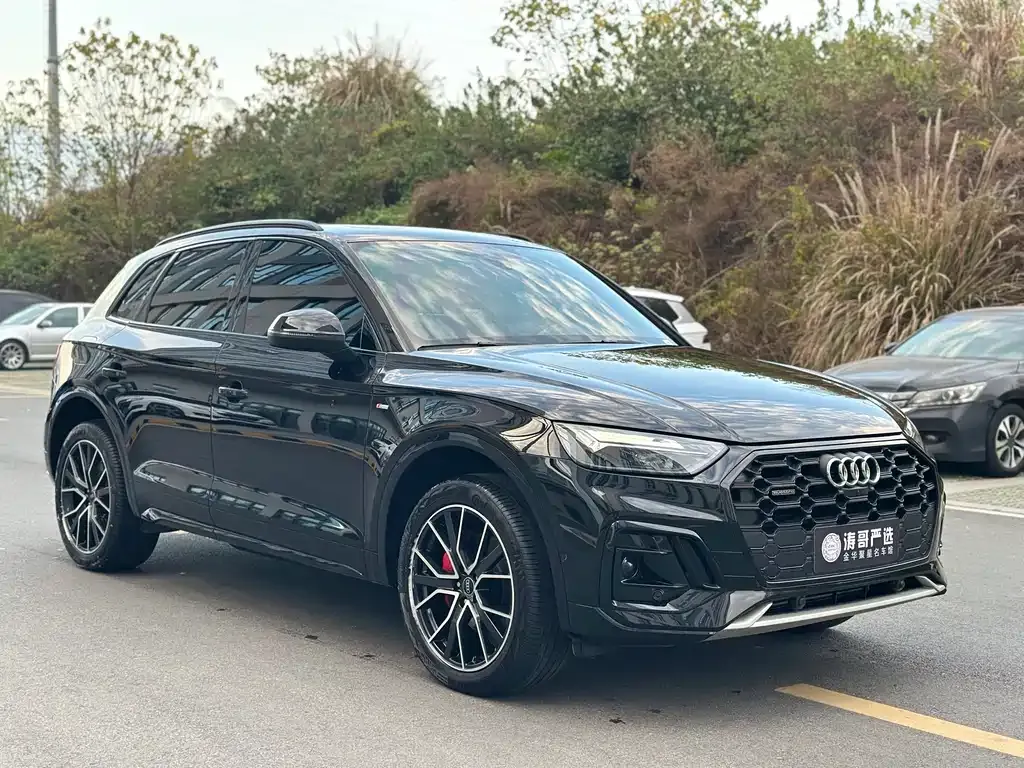 Audi Q5L 2025 из CN, фото 9