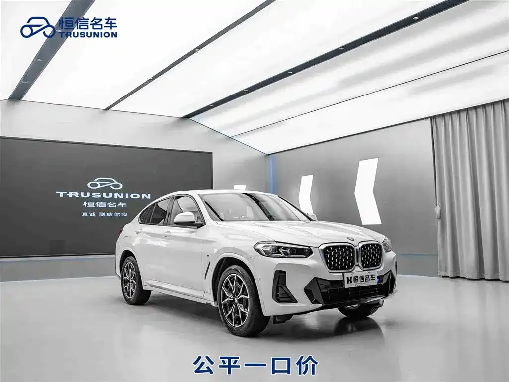 BMW X4 — фото 1