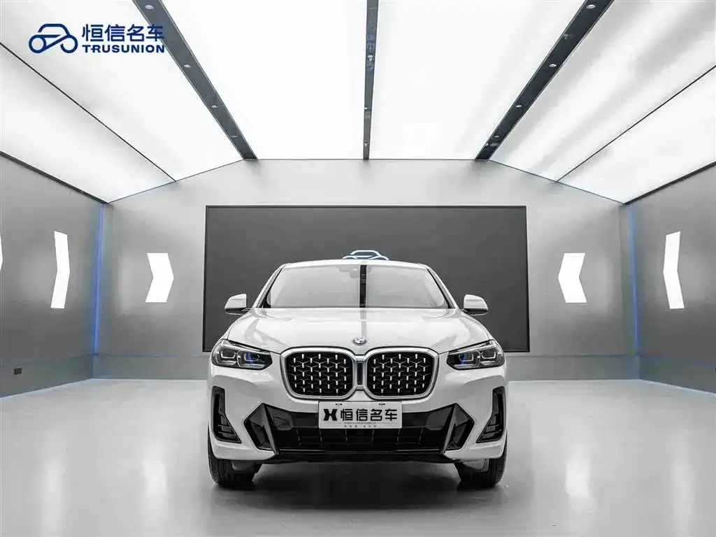 BMW X4 — фото 9
