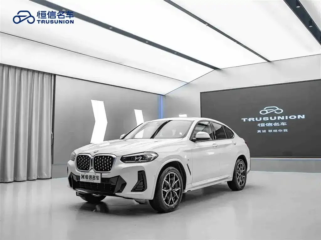BMW X4 — фото 5