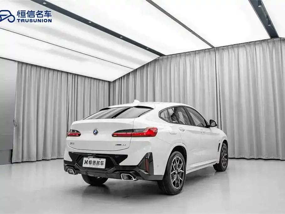 BMW X4 — фото 8