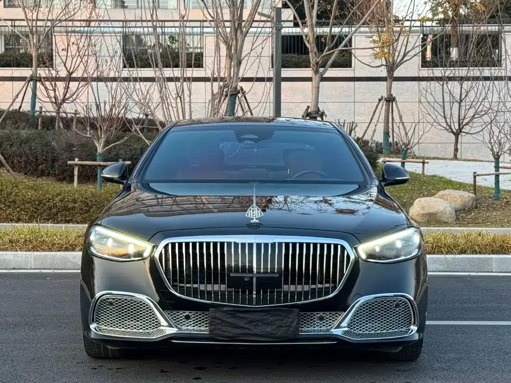 Mercedes-Benz S-Class 2022 из CN, фото 6