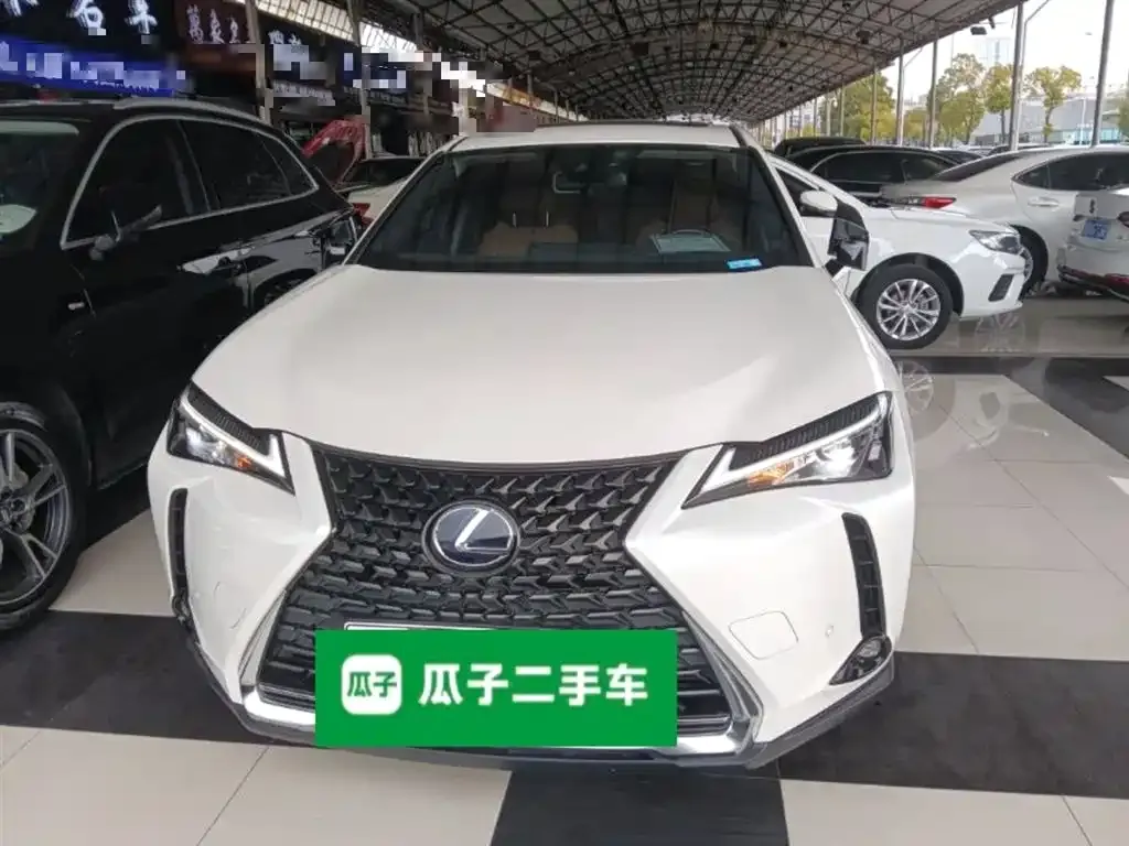 Lexus UX New Energy — фото 3