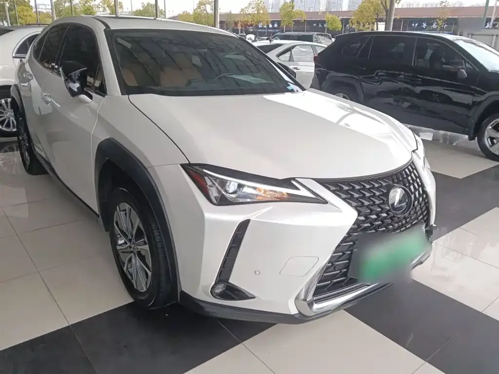 Lexus UX New Energy — фото 4
