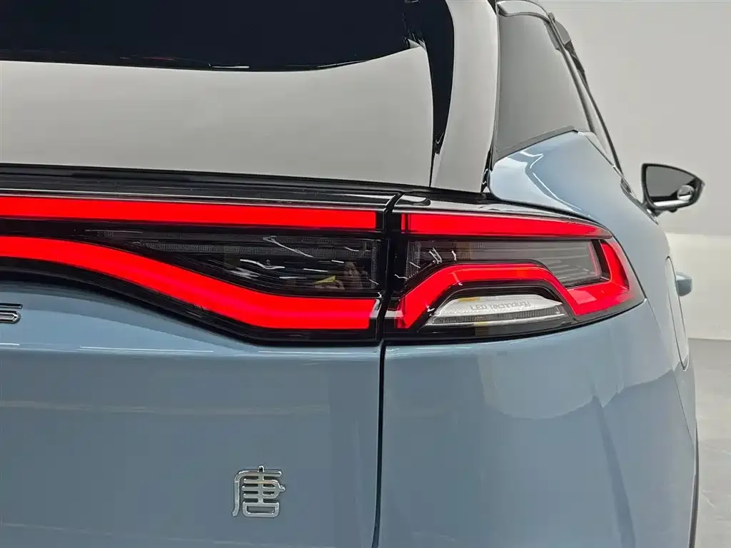 BYD Tang New Energy — фото 10