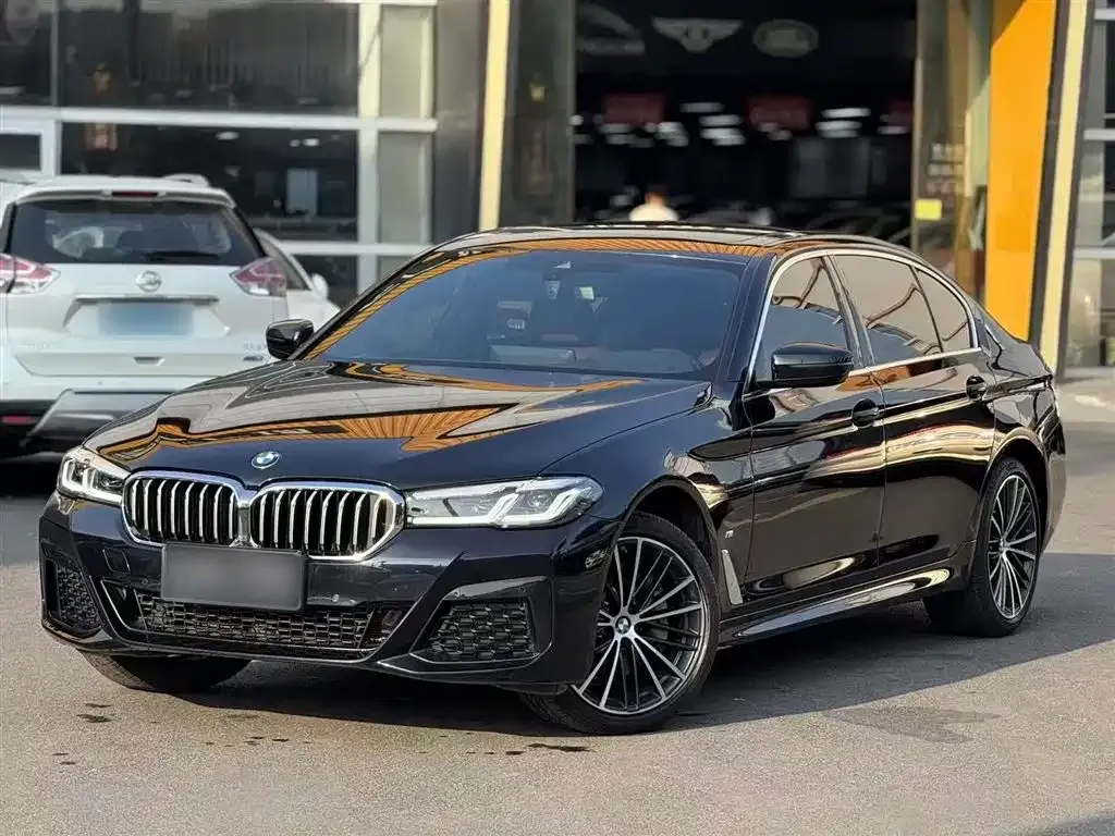 BMW 5 Series 2024 из CN, фото 8