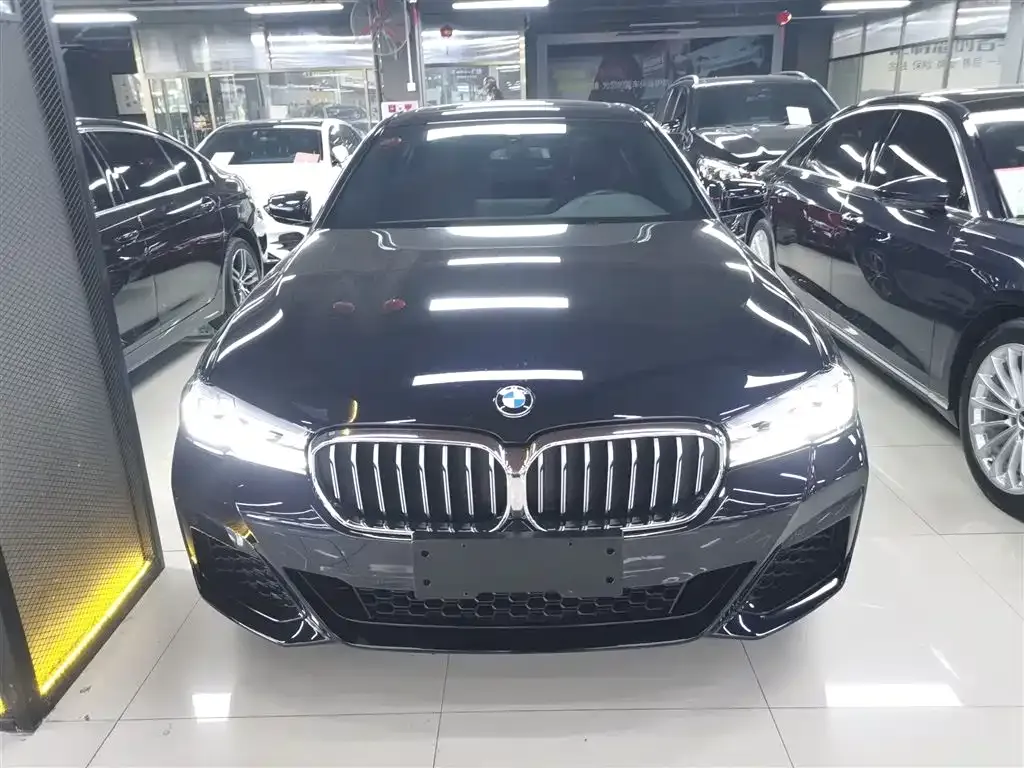 BMW 5 Series 2024 из CN, фото 6