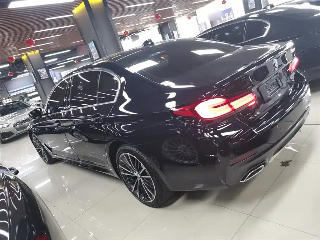BMW 5 Series 2024 из CN, фото 9