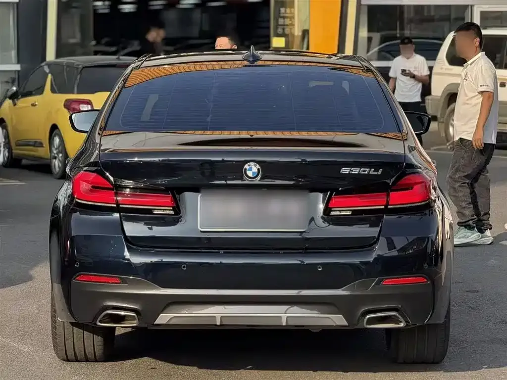 BMW 5 Series 2024 из CN, фото 4