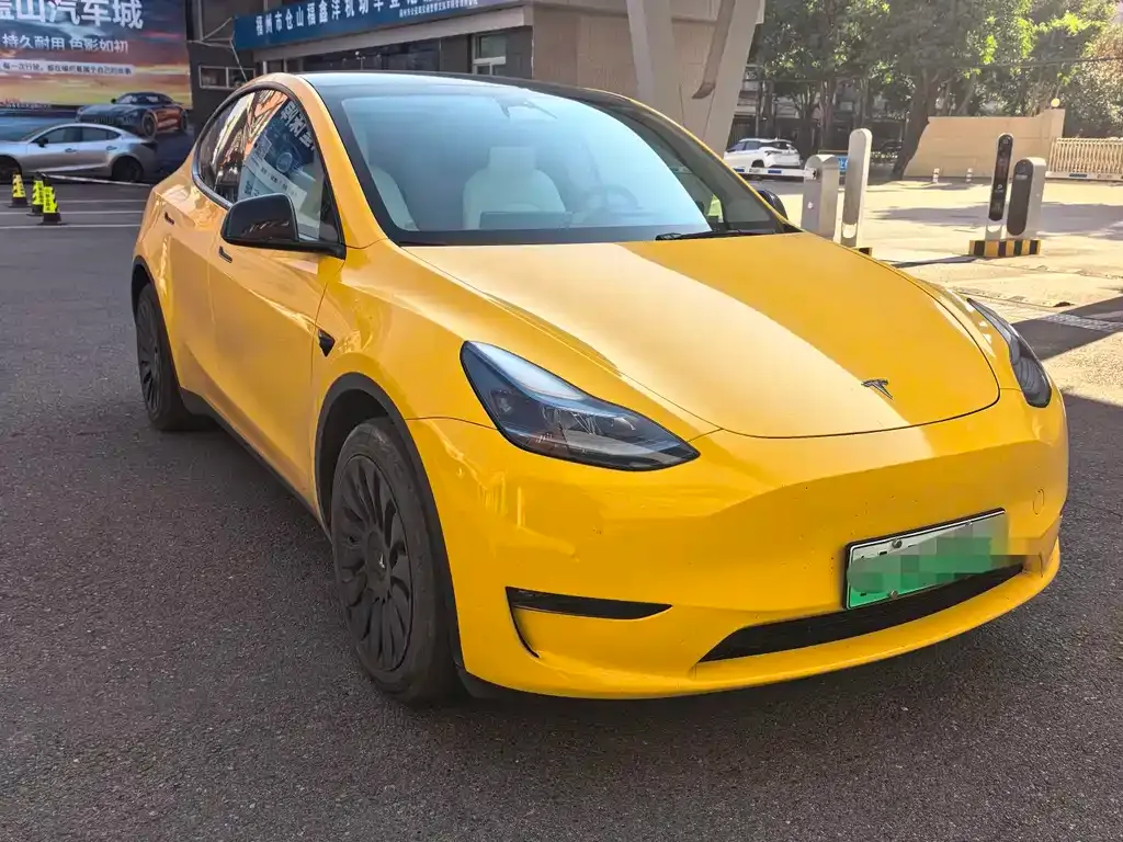 Tesla Model Y 2023 из CN, фото 6
