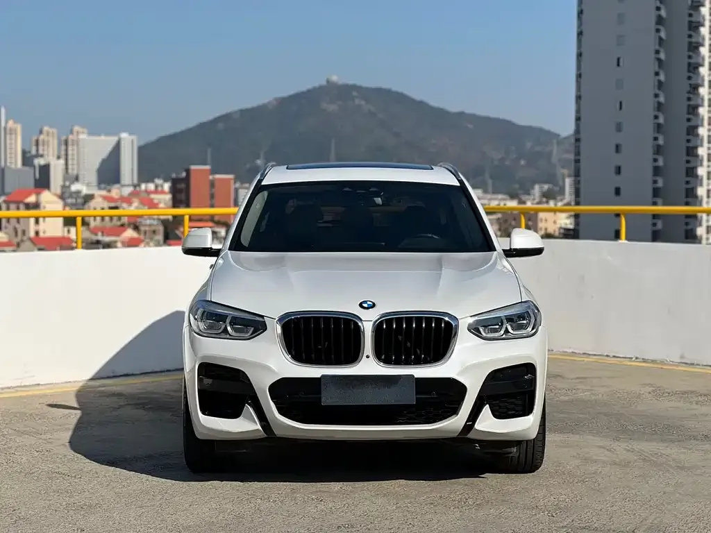 BMW X3 2021 из CN, фото 5