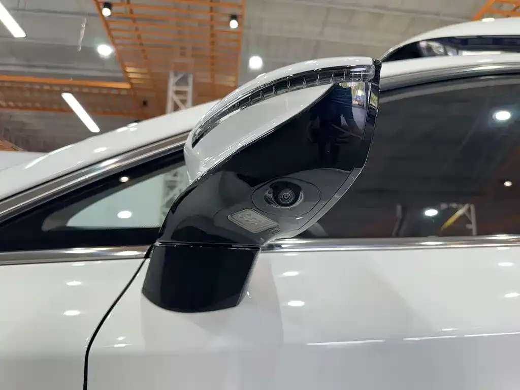 BYD MAX New Energy 2022 из CN, фото 8
