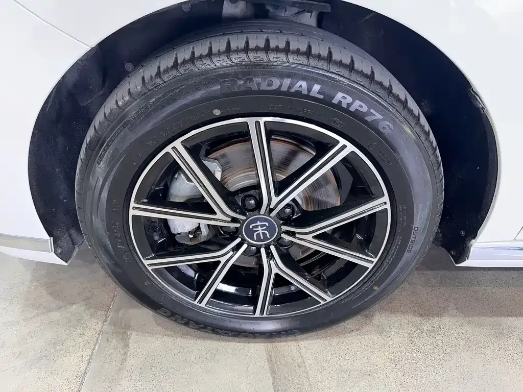 BYD MAX New Energy 2022 из CN, фото 9