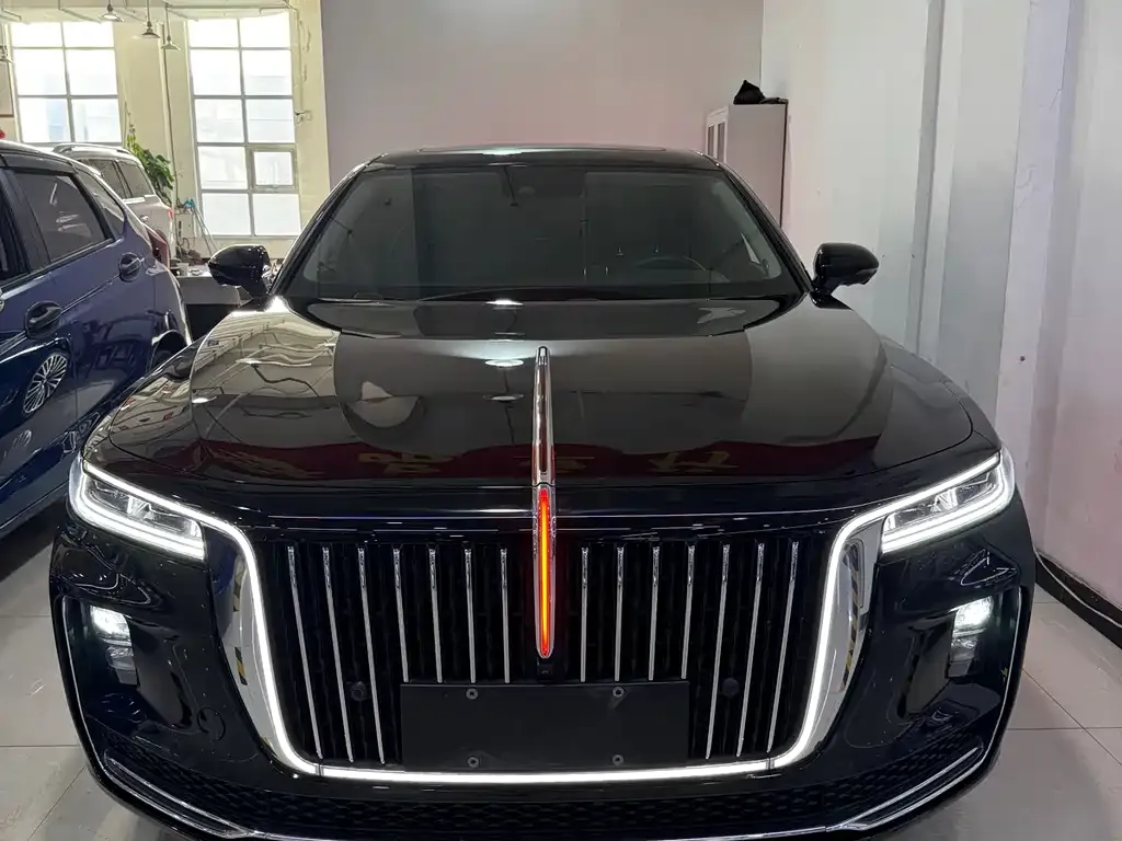 Hongqi H9 2021 из CN, фото 3