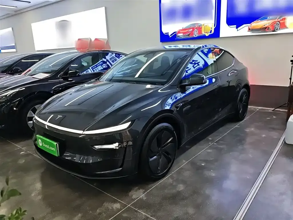 Tesla Model Y 2025 из CN, фото 1