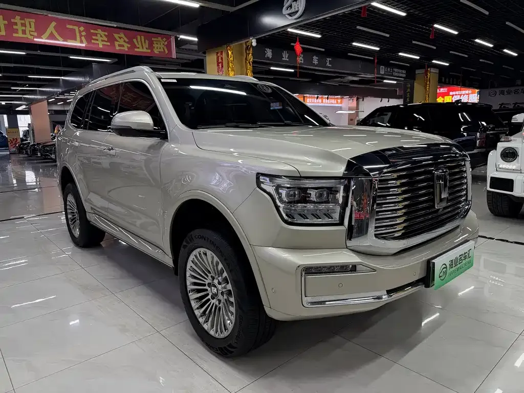 Tank 500 New Energy 2024 из CN, фото 10