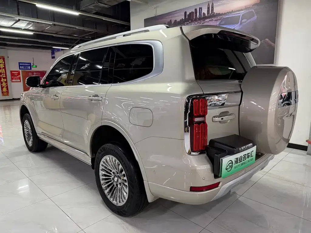 Tank 500 New Energy 2024 из CN, фото 8