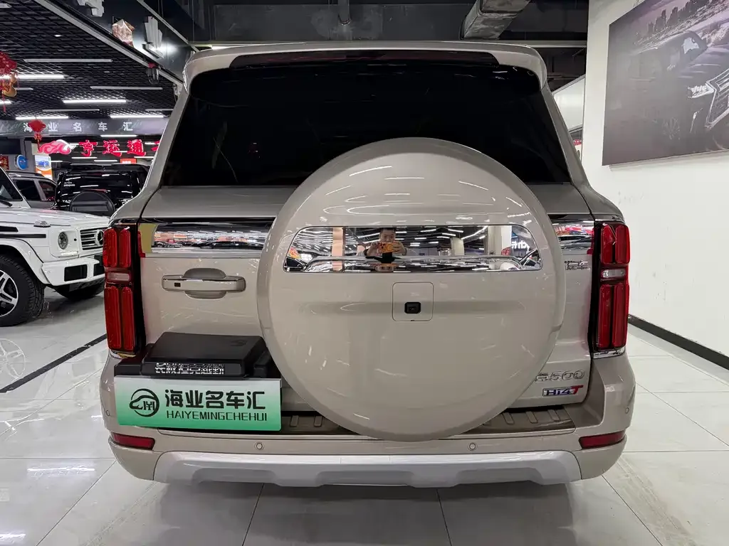 Tank 500 New Energy 2024 из CN, фото 6