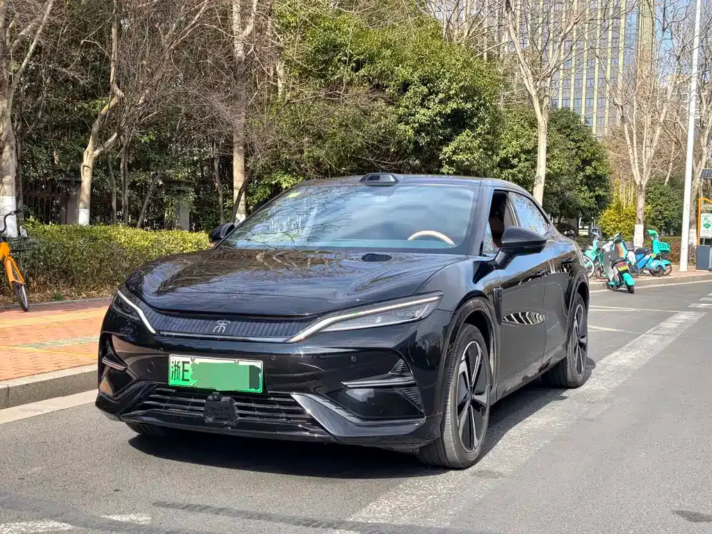 BYD L EV — фото 1