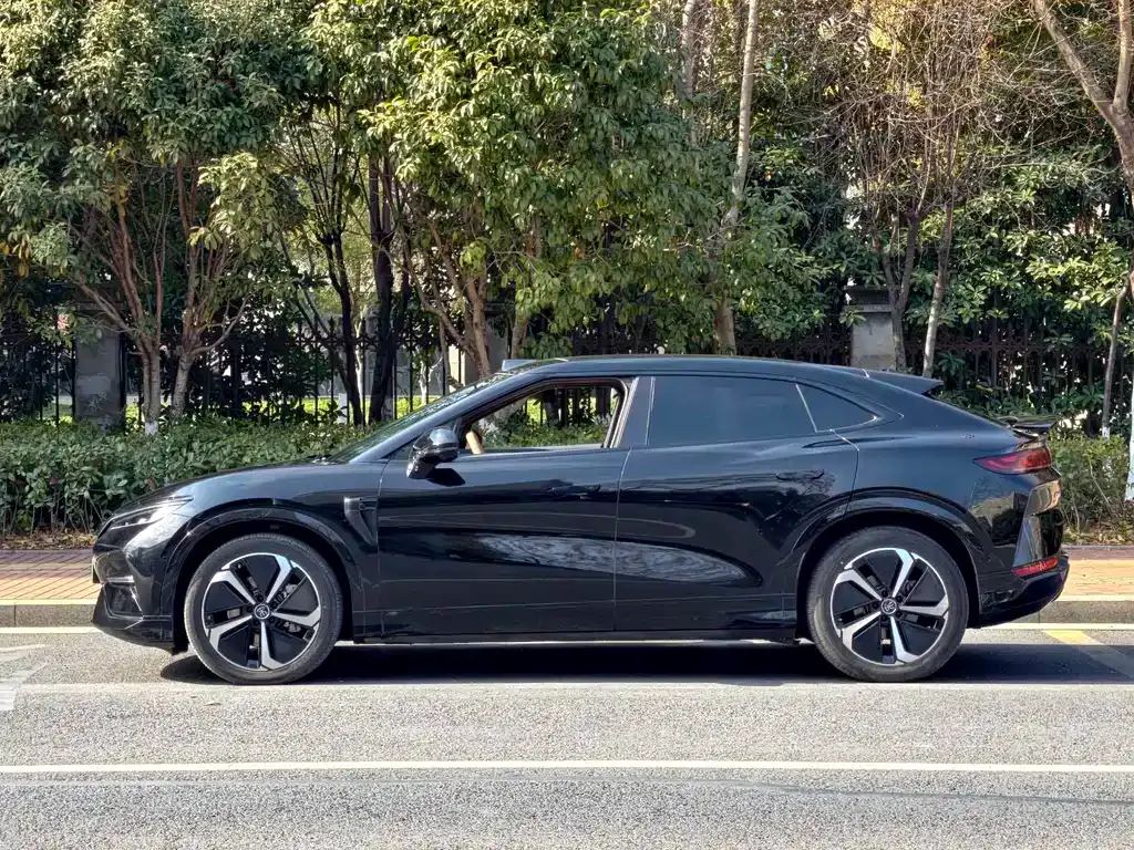 BYD L EV — фото 6