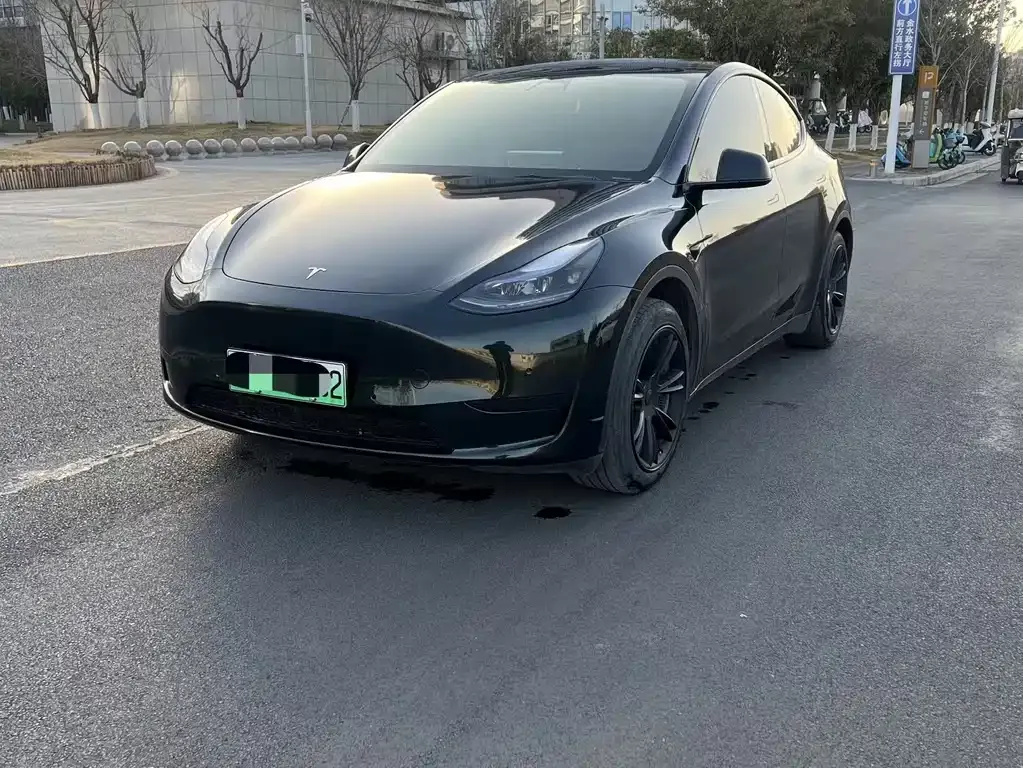 Tesla Model Y 2023 из CN, фото 1