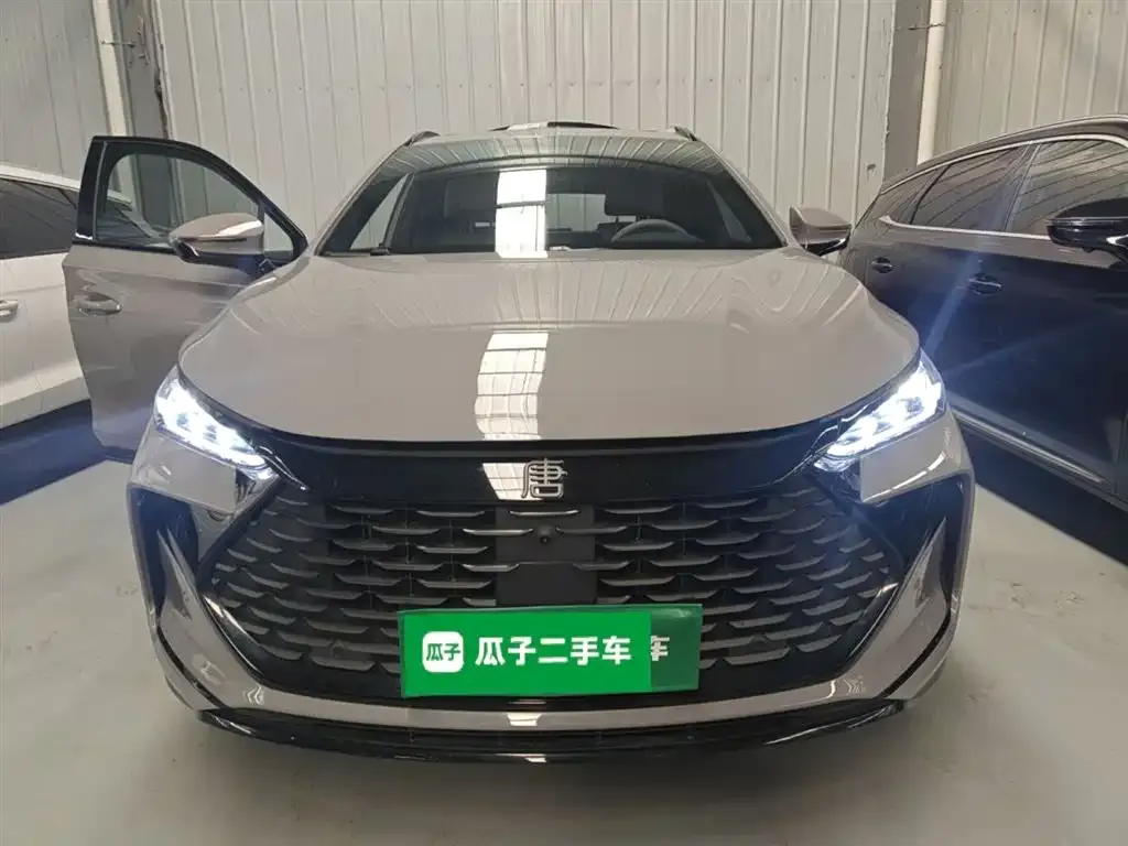 BYD Tang New Energy 2025 из CN, фото 3