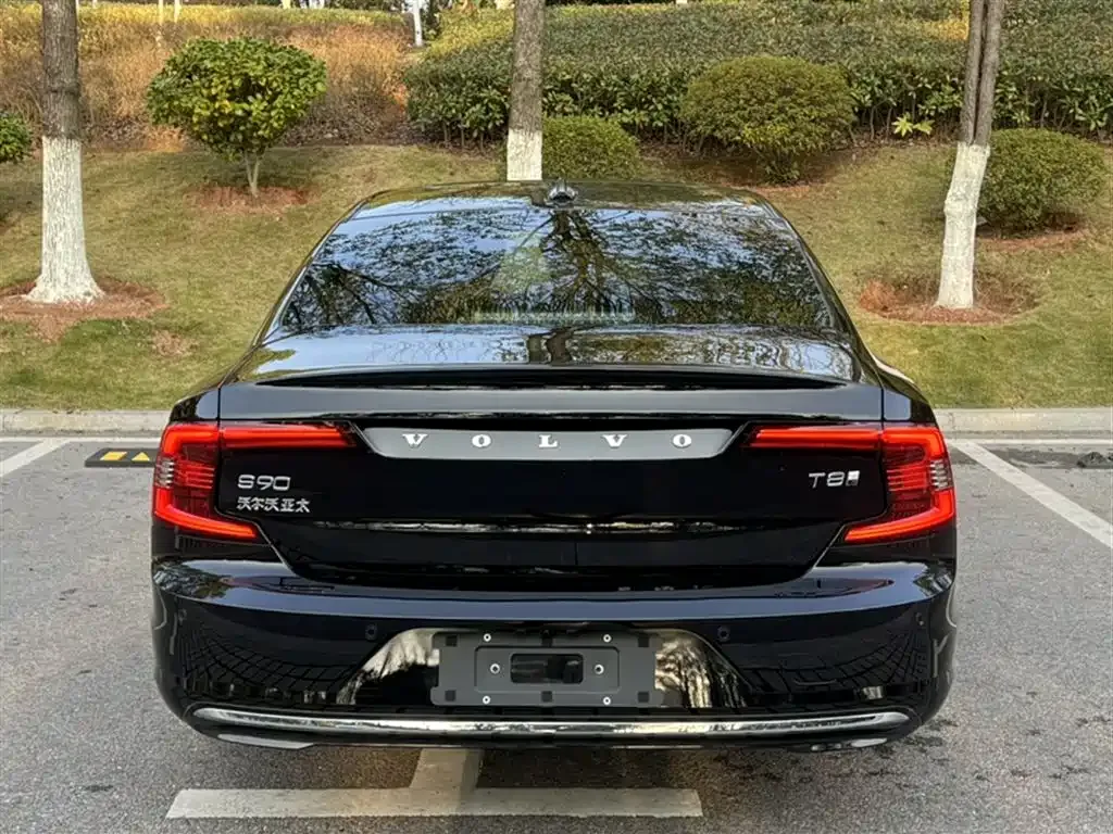 Volvo S90 PHEV 2025 из CN, фото 9