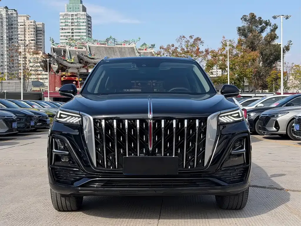 Hongqi HS5 2023 из CN, фото 10