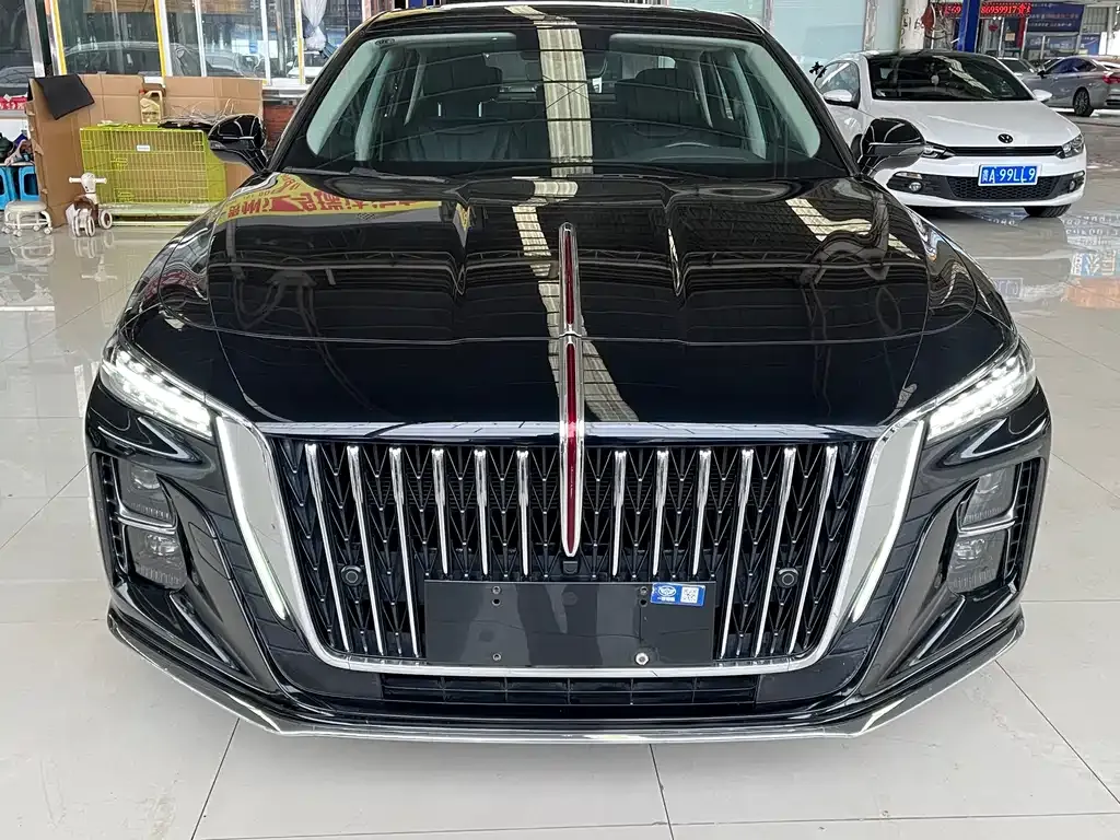 Hongqi H5 2023 из CN, фото 6
