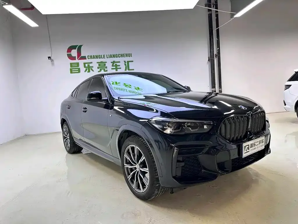 BMW X6 2022 из CN, фото 9