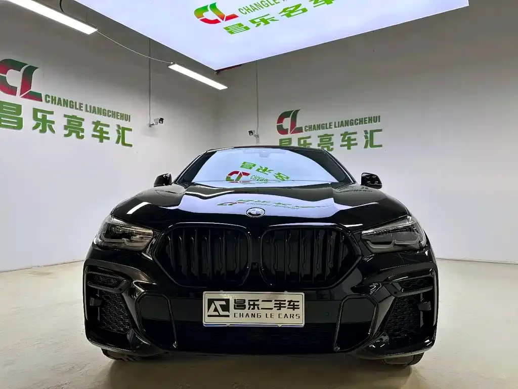 BMW X6 2022 из CN, фото 10