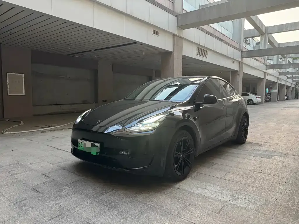 Tesla Model Y — фото 1
