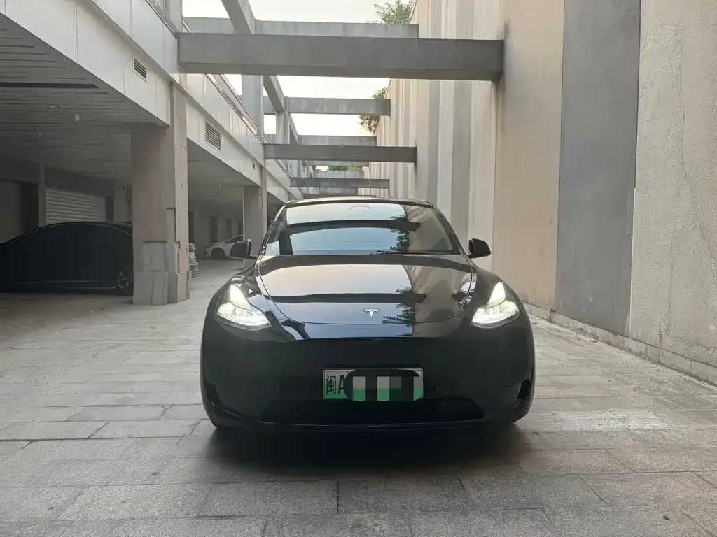 Tesla Model Y — фото 3