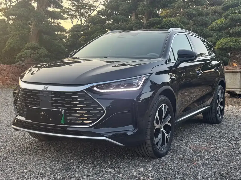 BYD Tang New Energy 2025 из CN, фото 1