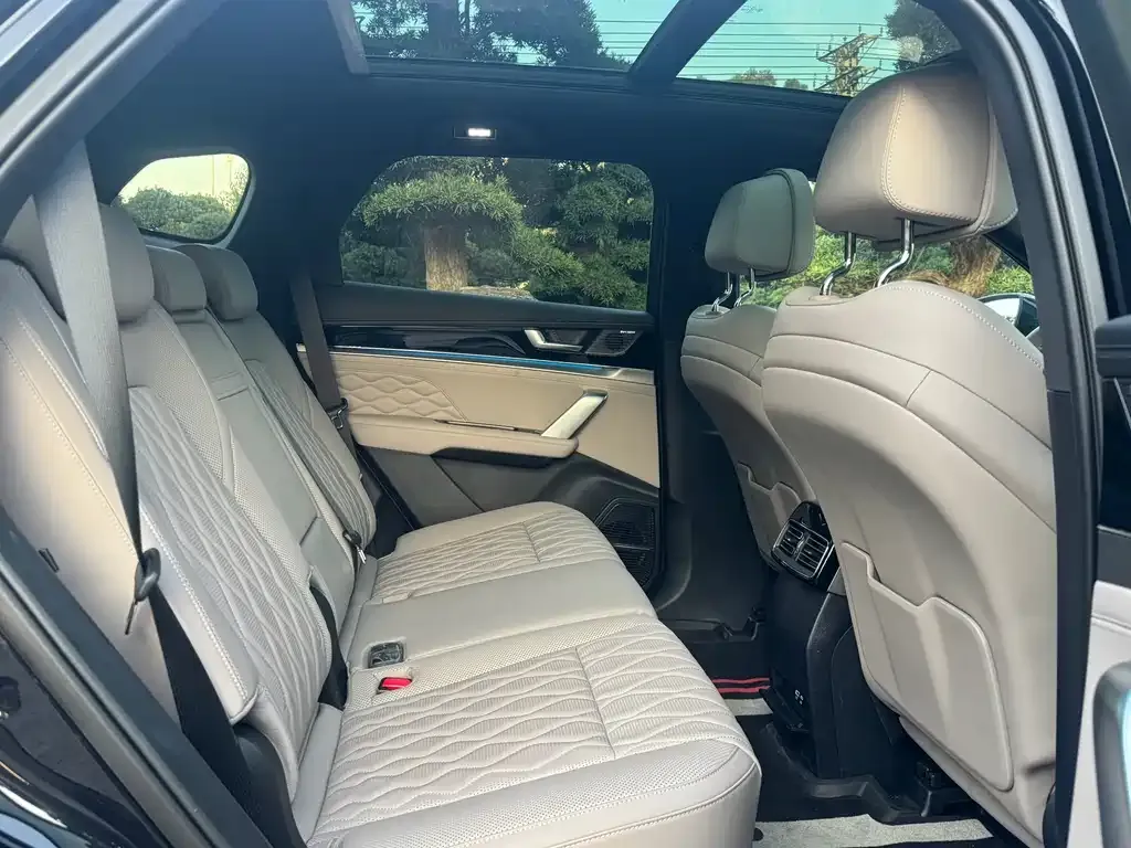 BYD Tang New Energy 2025 из CN, фото 10