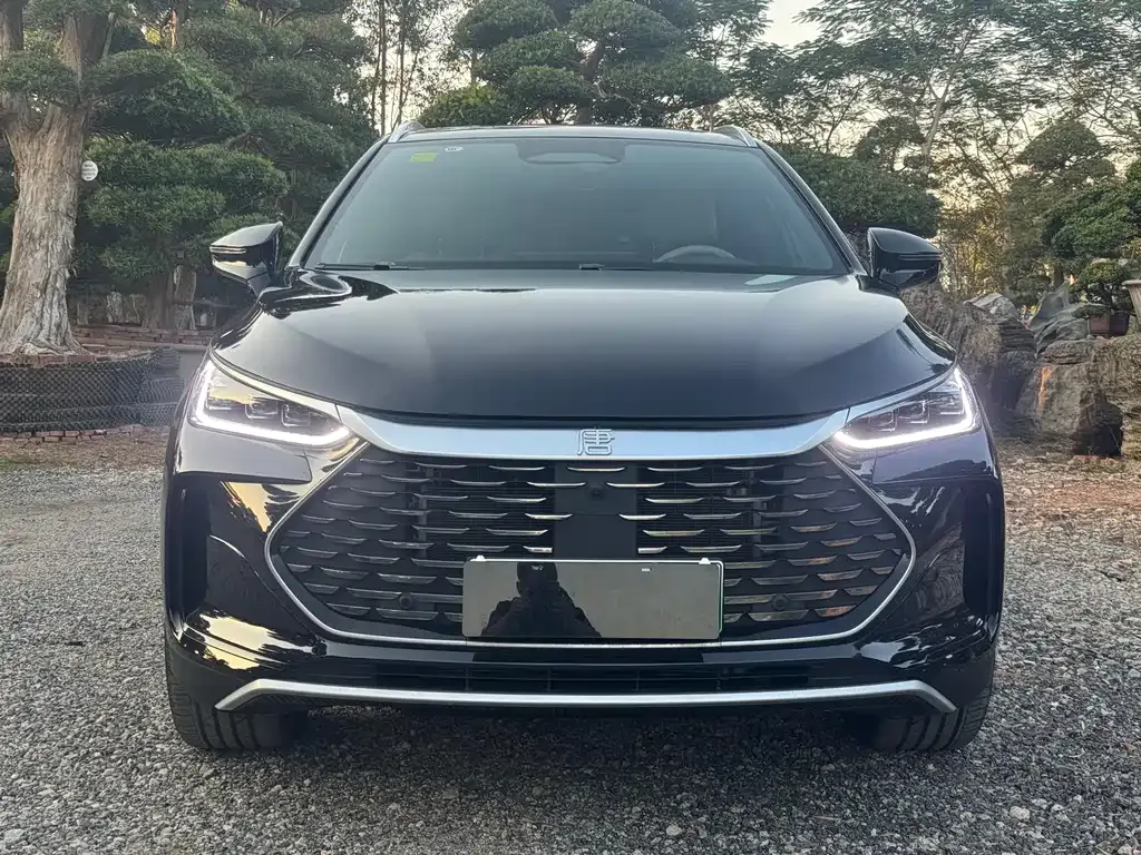 BYD Tang New Energy 2025 из CN, фото 3