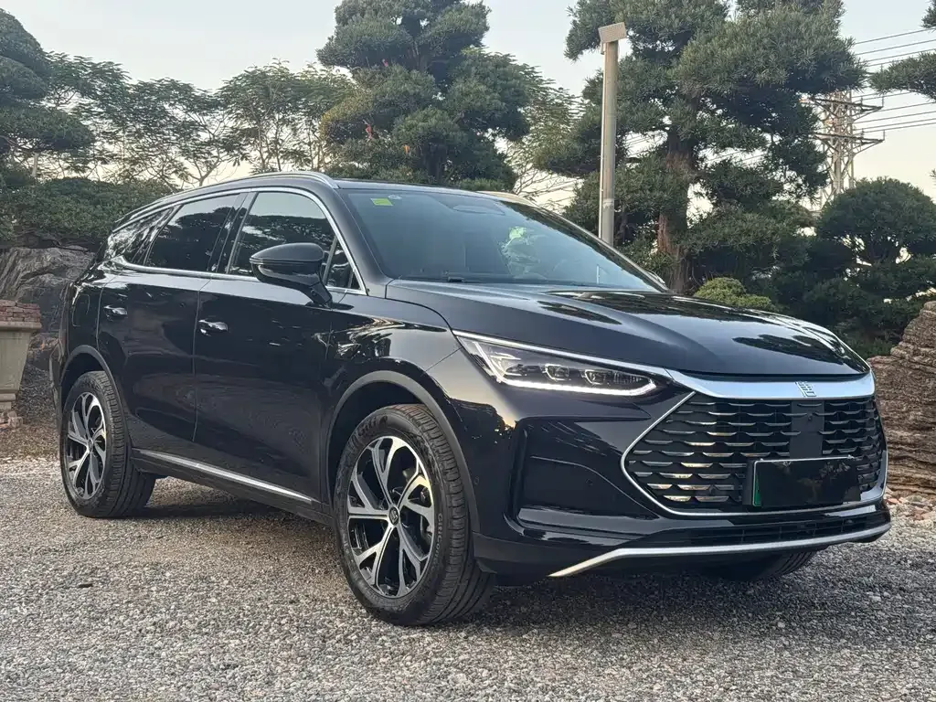 BYD Tang New Energy 2025 из CN, фото 2