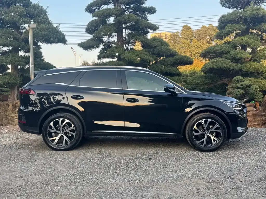 BYD Tang New Energy 2025 из CN, фото 4