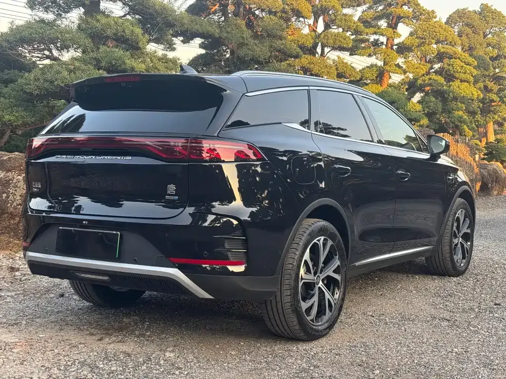 BYD Tang New Energy 2025 из CN, фото 5