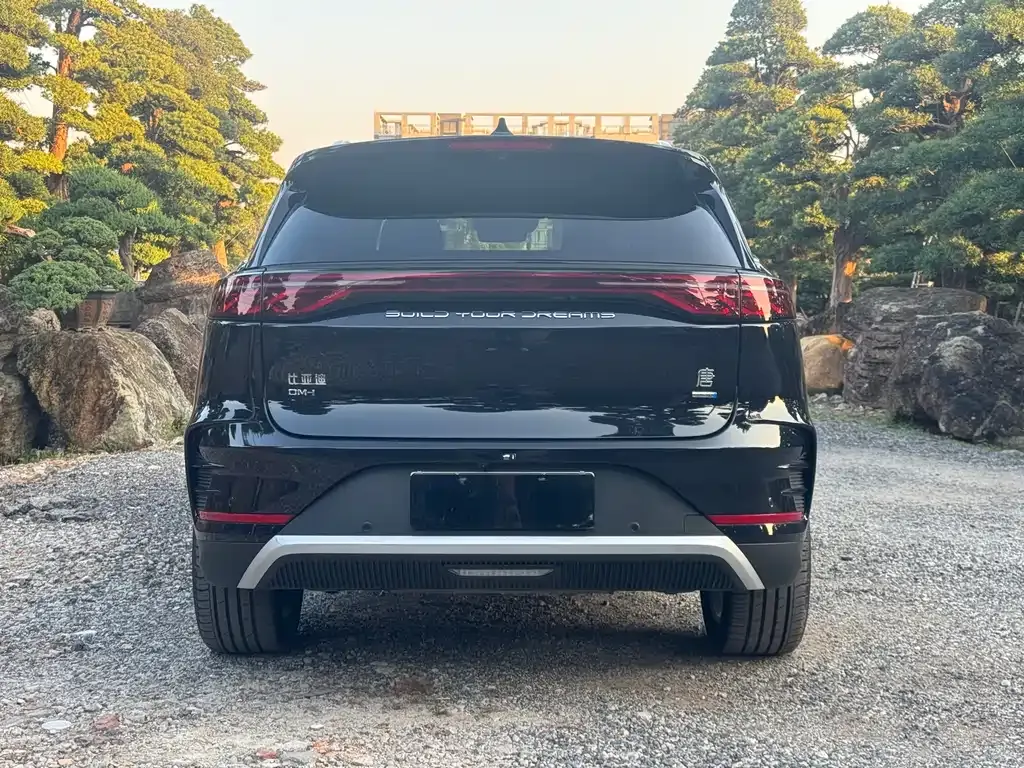 BYD Tang New Energy 2025 из CN, фото 8