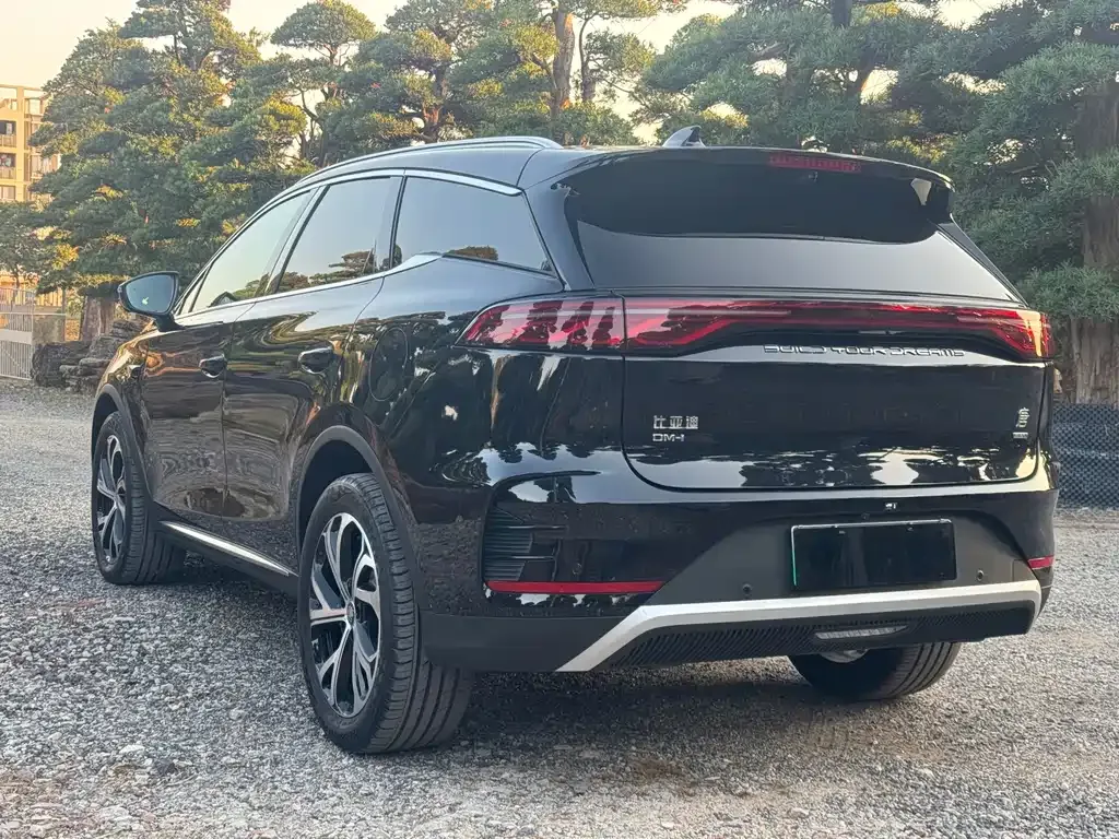 BYD Tang New Energy 2025 из CN, фото 7