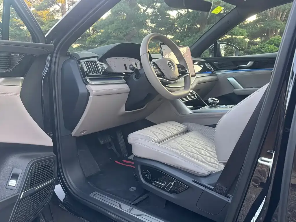 BYD Tang New Energy 2025 из CN, фото 9
