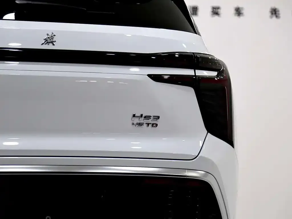 Hongqi HS3 2023 из CN, фото 4